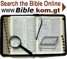 searchable online bible